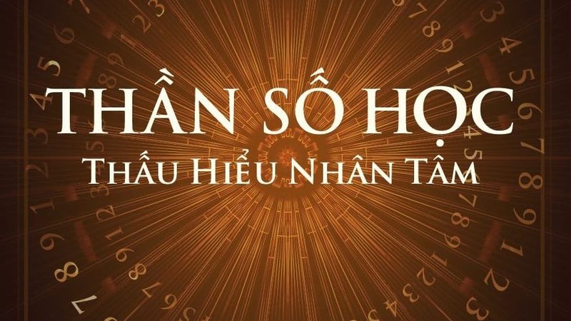 广东墙砖厂家直销批发，揭秘高品质墙砖选购之道